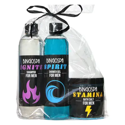 NA PREZENT DLA MĘŻCZYZNY ZESTAW ŻEL SZAMPON SÓL DO KĄPIELI