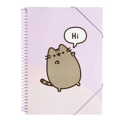 Skoroszyt a4 z gumką pusheen cfa405 30 kartek