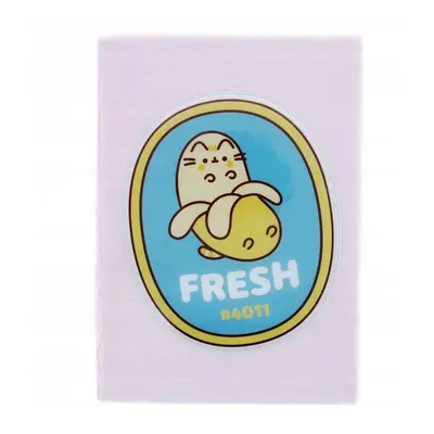 Notes pluszowy pusheen purf6002