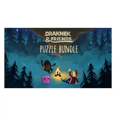 Draknek and Friends Puzzle Bundle (PS5)