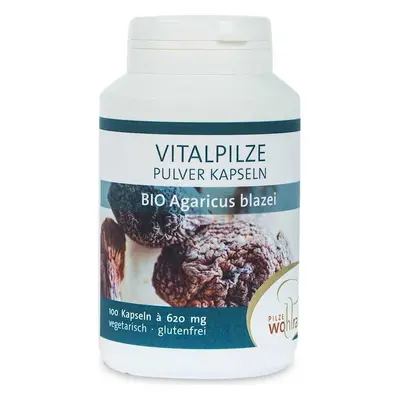 GRZYBY AGARICUS BLAZEI (PIECZARKA BRAZYLIJSKA) BIO 100 KAPSUŁEK (620 mg) - PILZE WOHLRAB