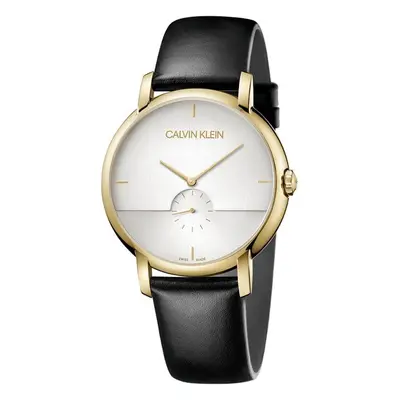 ZEGAREK CALVIN KLEIN Established