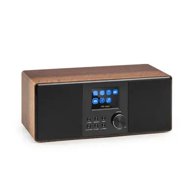 Auna Connect 120, internetové rádio, bluetooth, WLAN, DAB/DAB+, FM, RDS, USB, AUX