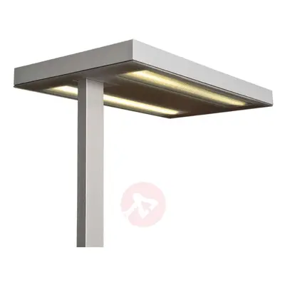 Lampa stojąca FREE-F LED 10000 HF 840 CP2, sz.