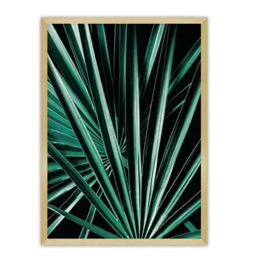 Plakat Dark Palm Tree