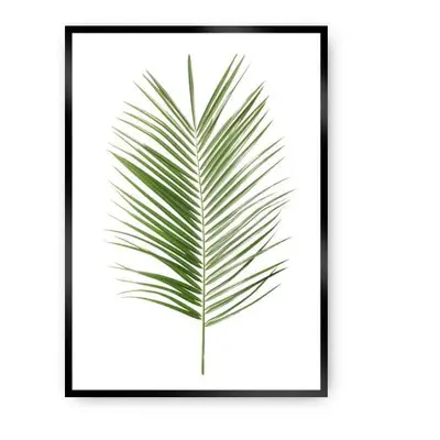 Plakat Palm Leaf Green