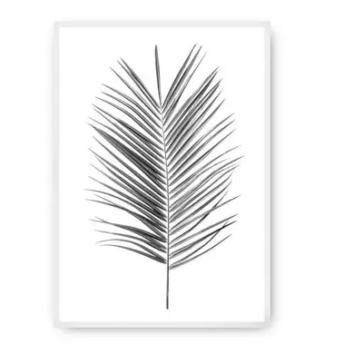 Plakat Palm Leaf Grey