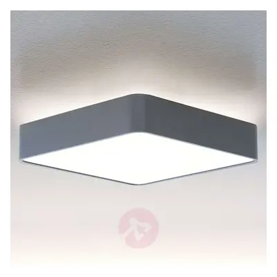 Lampa sufitowa LED Caleo-X2, ciepła biel, 51,4 cm