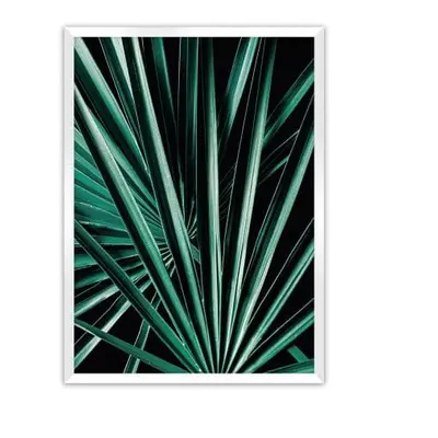 Plakat Dark Palm Tree