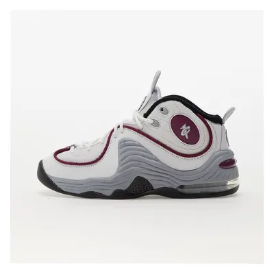 Trampki Nike W Air Penny Summit White/ Rosewood-Wolf Grey-Black EUR