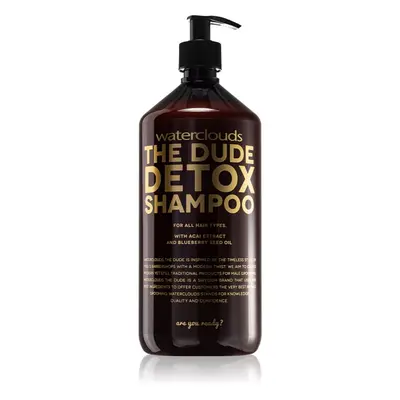 Waterclouds The Dude Detox Shampoo szampon oczyszczający do codziennego stosowania