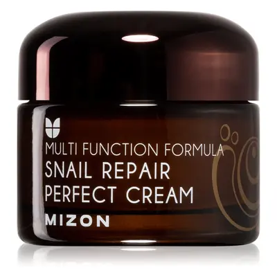 Mizon Multi Function Formula Snail krem do twarzy z ekstraktem ze śluzu z ślimaka 60%