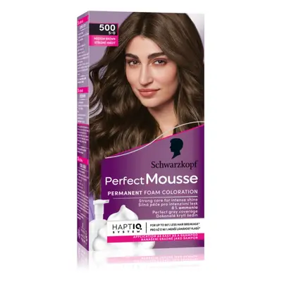 Schwarzkopf Perfect Mousse trwała farba do włosów odcień Hazelnut