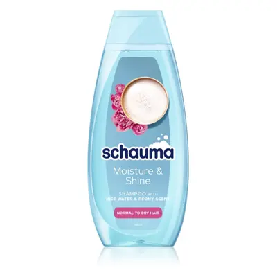 Schwarzkopf Schauma Moisture & Shine szampon nawilżający do włosów normalnych i suchych