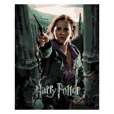 Zuty Malowanie po numerach Plakat Harry Potter i Insygnia Śmierci - Hermiona