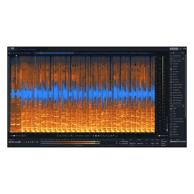 iZotope RX STD: UPG fr. any previous RX STD, ADV, PPS (Produkt cyfrowy)