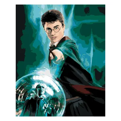 Zuty Malowanie po numerach Plakat Harry Potter i Zakon Feniksa - Harry