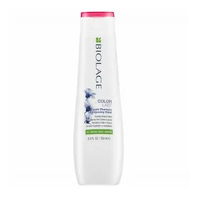 Matrix Biolage Colorlast Purple Shampoo szampon do włosów blond ml