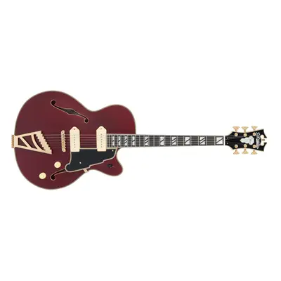 D'Angelico Deluxe Trans Wine