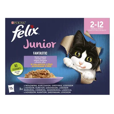 Purina Felix Fantastic Junior miks smaków w galaretce - karma mokra dla kotów x g