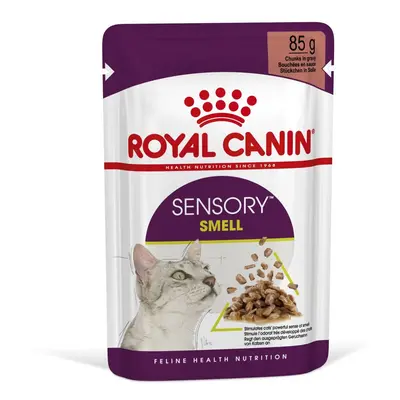 Royal Canin Sensory Smell - karma mokra w sosie dla dorosłych kotów x g