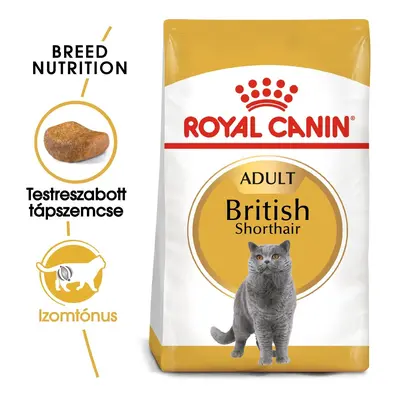 Royal Canin British Shorthair Adult - karma sucha dla dorosłych kotów rasy brytyjski krótkowłosy