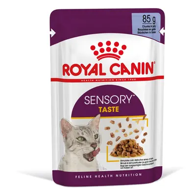 Royal Canin Sensory Taste - karma mokra w galarecie dla dorosłych kotów x g