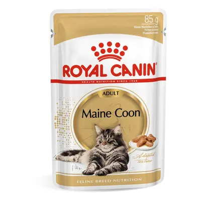 Royal Canin Maine Coon Adult - karma mokra dla dorosłych kotów rasy maine coon x g