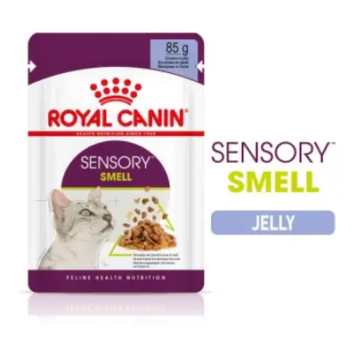 Royal Canin Sensory Smell - kawałki w galarecie dla dorosłych kotów x g