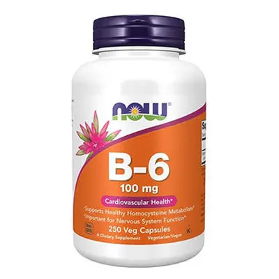 NOW Vitamin B-6 100mg - 250vcaps - Witamina B6