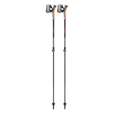 Kije nordic walking Instructor Lite Nordic Shark Leki