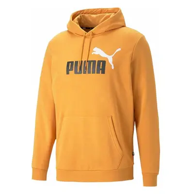 Bluza męska Essentials+ Two-Tone Big Logo Hoodie Puma