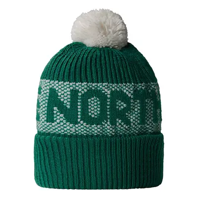 Czapka The North Face Retro Cabin 0A88QW84O1 - zielona