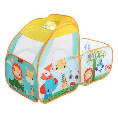 Fisher-Price Basen z 50 kolorowymi piłkami (Domek)