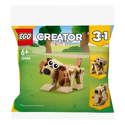 LEGO® Creator 30666 Zestaw prezentowy z zwierzątkami