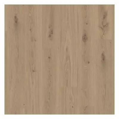 Panel winylowy SPC Delicate Oak Chesnut 4,2mm 23/33