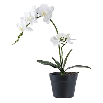 House Nordic sztuczna roślina w doniczce Orchid kolor zielony