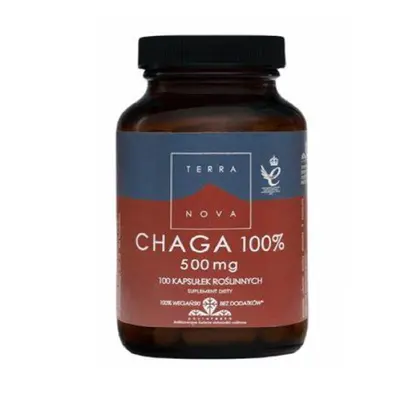 Terranova CHAGA 500 mg Witaminy 1 ct