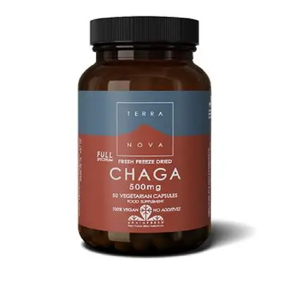 Terranova CHAGA 500 mg Witaminy 1 ct