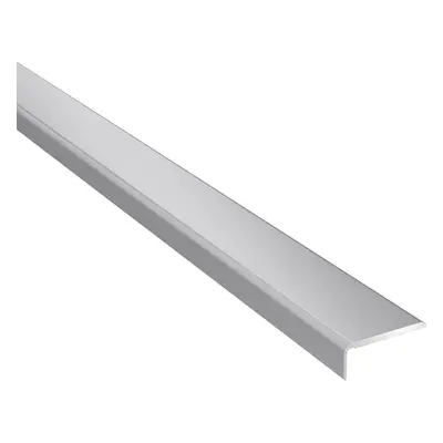 Profil podłogowy CS25 zakończeniowy 1200x25x10 aluminiowy srebrny