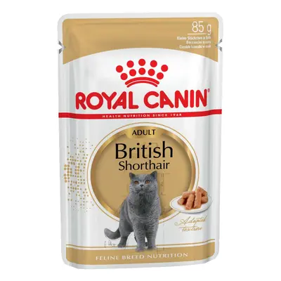 Royal Canin British Shorthair Adult w sosie - 24 x 85 g