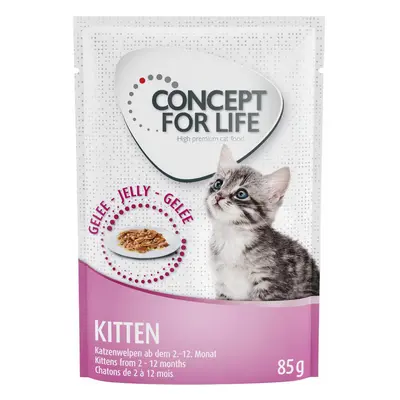 30% taniej! Concept for Life Kitten, 12 x 85 g - W galarecie