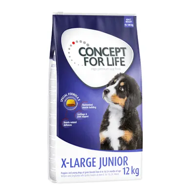 30 zł taniej! Concept for Life, karma sucha, 12 kg - X-Large Junior