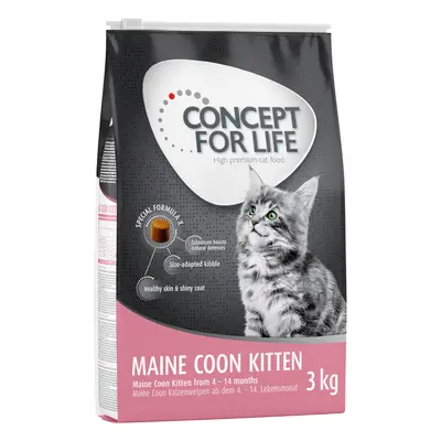 25% taniej! Concept for Life, karma sucha, 3 kg / 10 kg - Maine Coon Kitten, 3 kg