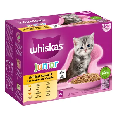 Whiskas Junior w saszetkach, 12 x 85 g - Wybór dań drobiowych w galarecie