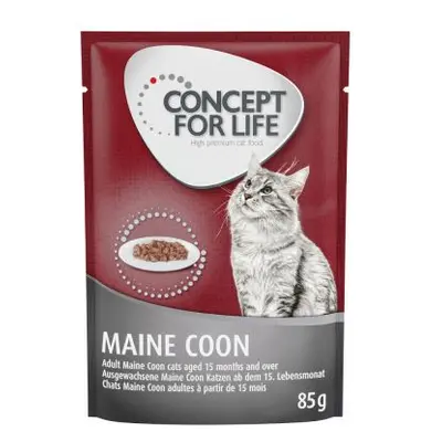 40 zł taniej! Concept for Life, karma mokra dla kota, 48 x 85 g - Maine Coon Adult, ragout