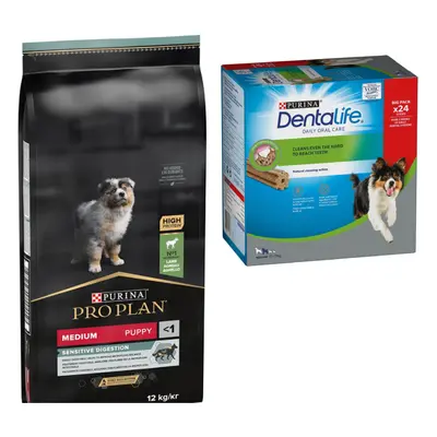 Purina Pro Plan, karma sucha dla psa + przysmak do gryzienia Purina Dentalife gratis! - Medium P