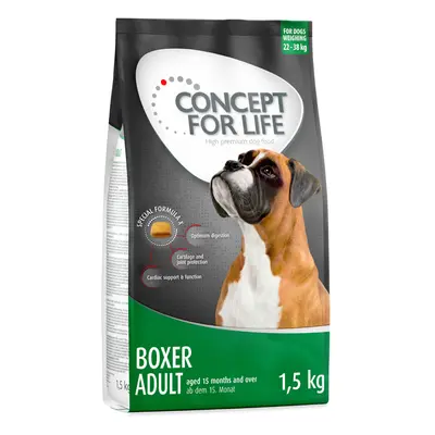 20% taniej! Concept for Life, 4 x 1 kg / 1,5 kg - Boxer Adult, 4 x 1,5 kg