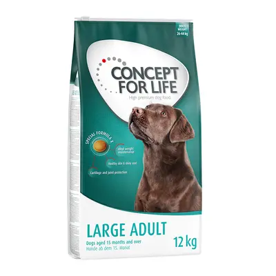 10% taniej! Concept for Life, karma sucha, 12 kg - Large Adult