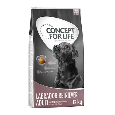 10% taniej! Concept for Life, karma sucha, 12 kg - Labrador Retriever Adult